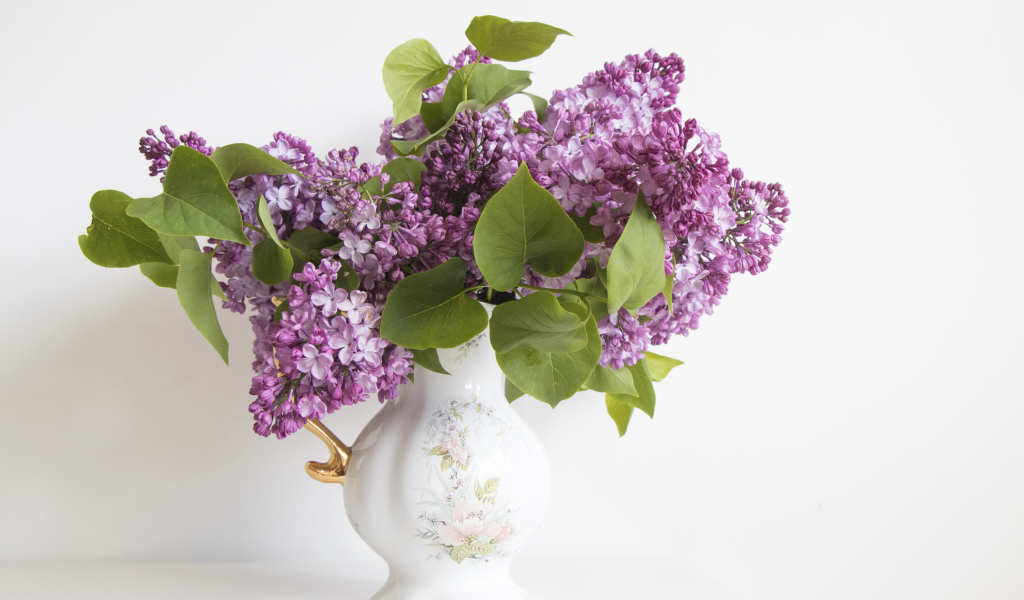 Букет сирени в красивой вазе на белом фоне