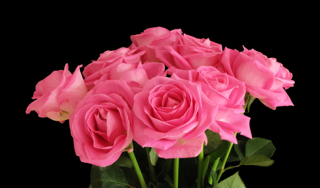 Букет розовых роз на черном фоне крупным планом