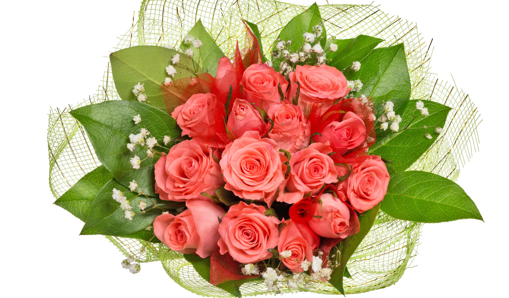 Букет розовых роз с большими зелеными листьями на белом фоне