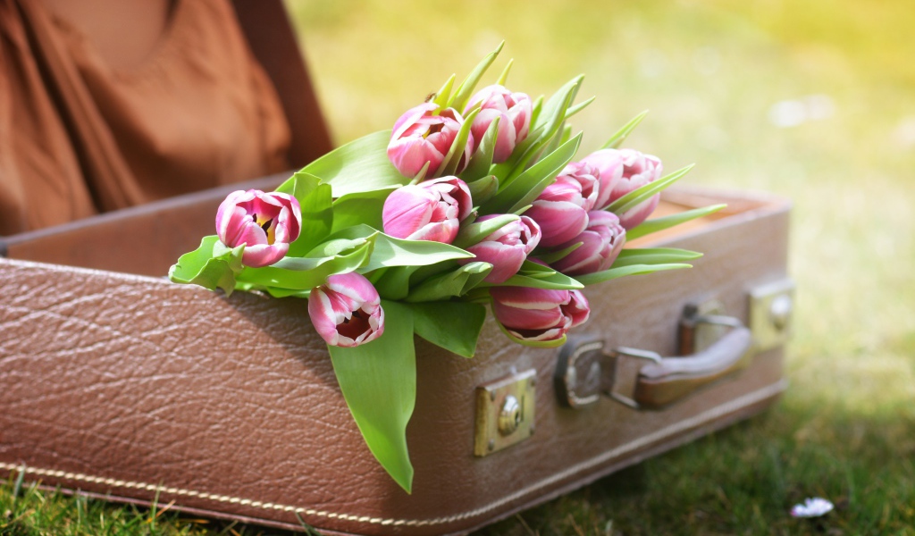 Букет розовых тюльпанов в кожаном чемодане