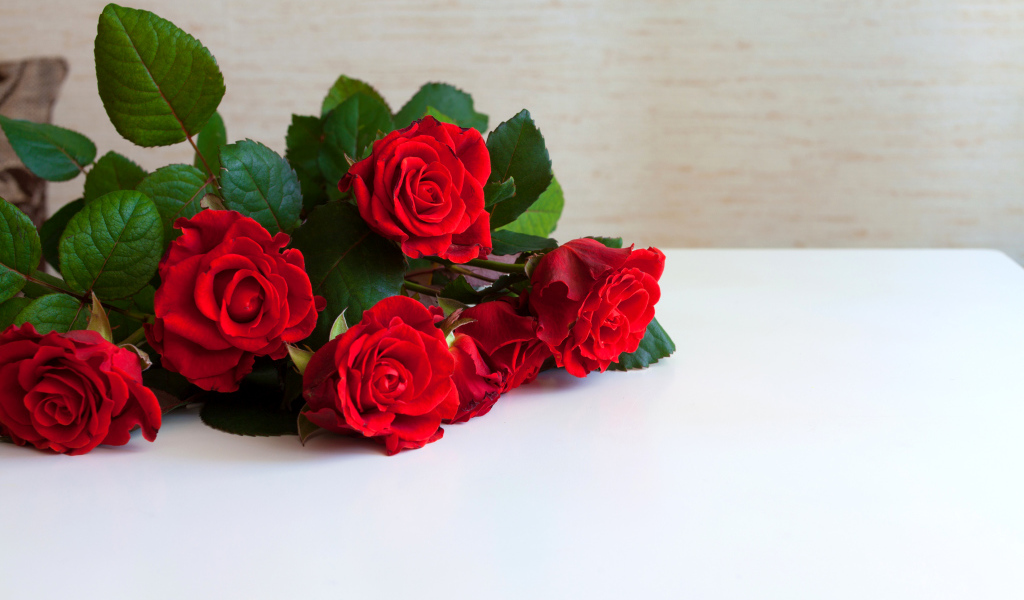 Букет красных роз на белой поверхности, шаблон