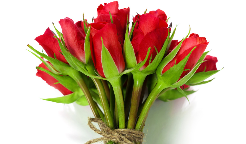 Букет красных роз перевязан веревкой на белом фоне