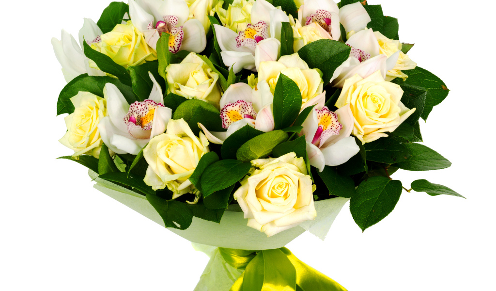 Букет белых роз и белых орхидей на белом фоне