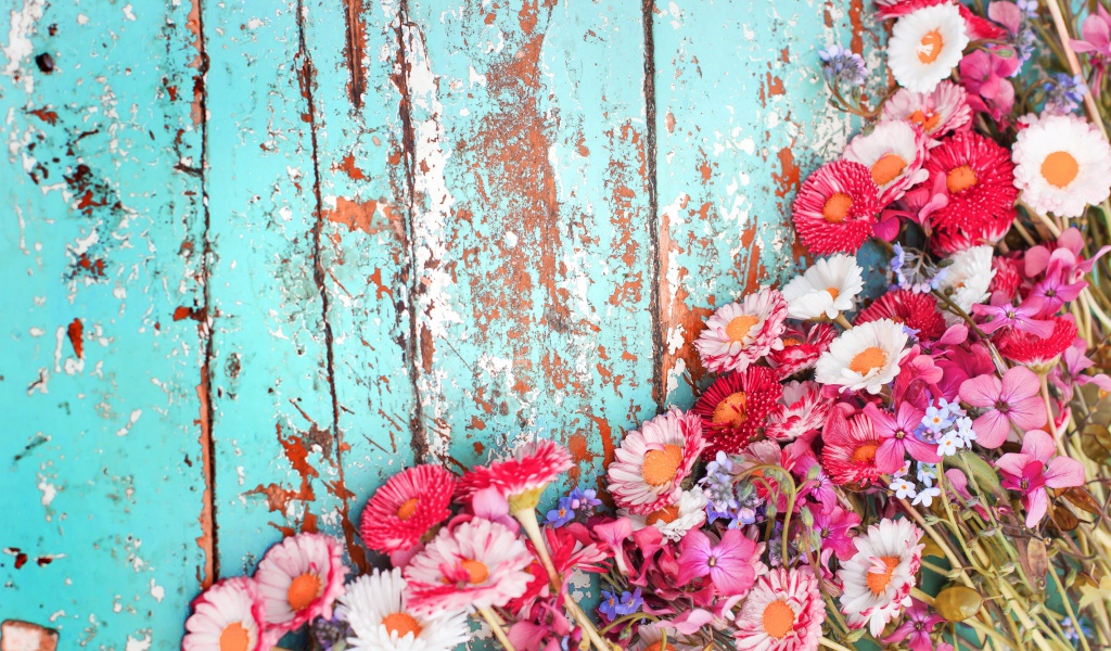 Маргаритки и флоксы на старой деревянной поверхности