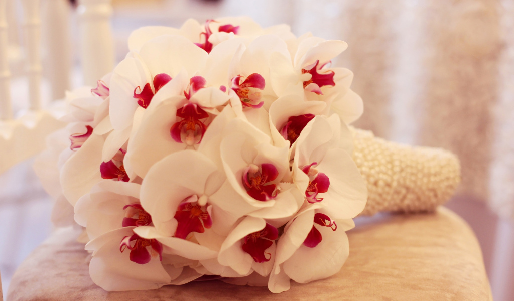 Нежный букет белой орхидеи