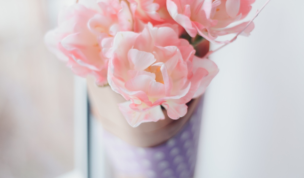 Нежные розовые цветы тюльпаны 