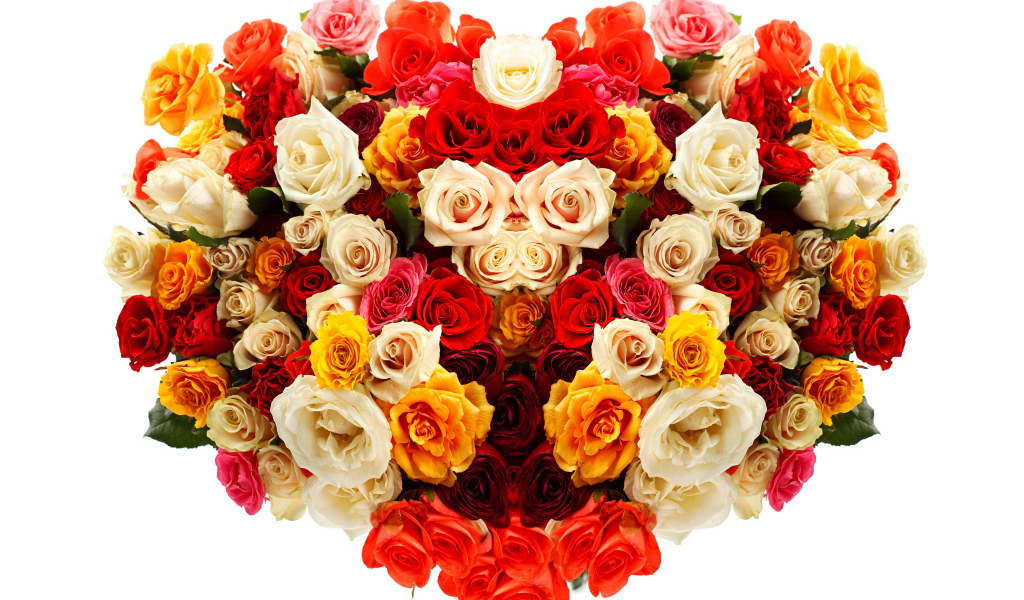 Сердце из разноцветных роз на белом фоне