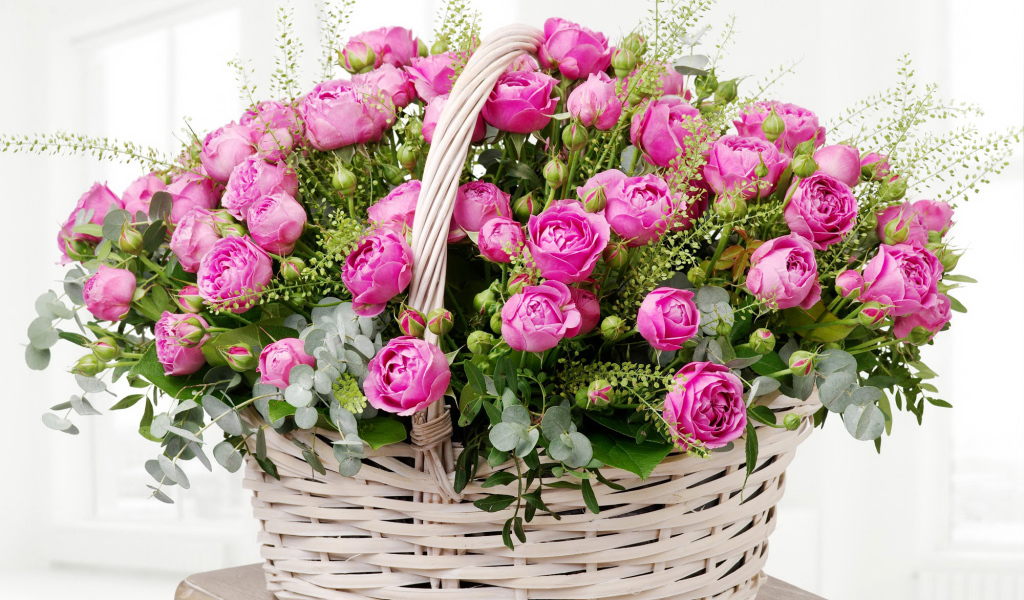 Большая корзина розовых роз на белом фоне