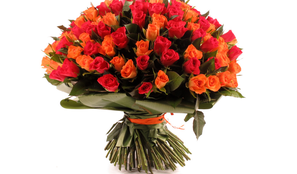 Большой букет оранжевых и розовых роз на белом фоне