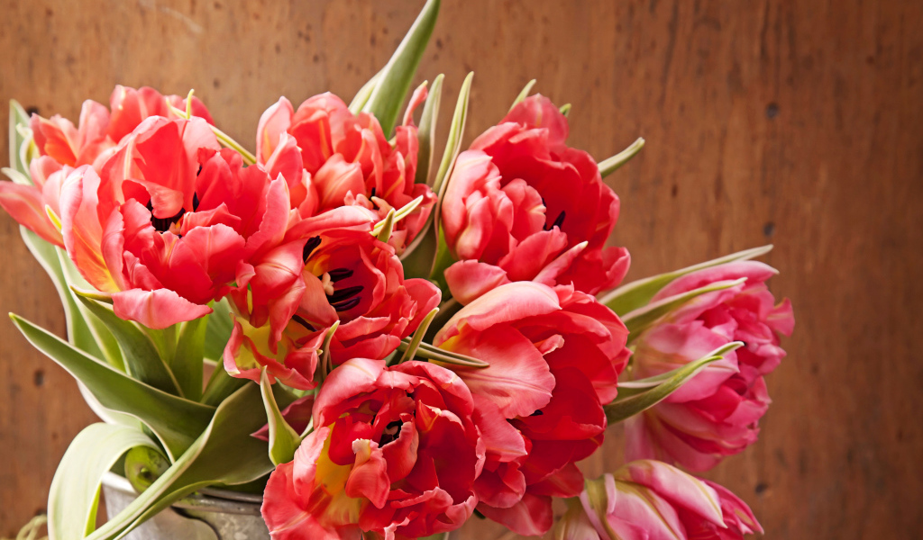 Розовые тюльпаны крупным планом в вазе