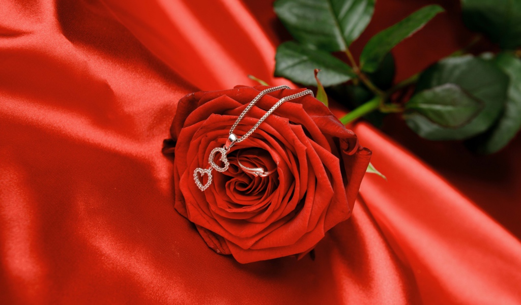Красная роза с серебряным кулоном с сердечками