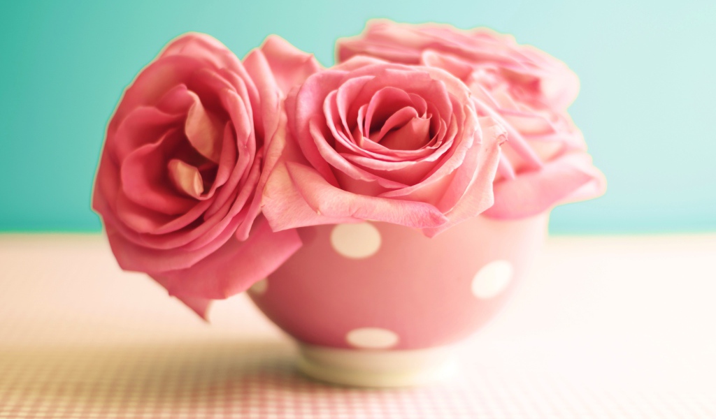 Три розовые розы в вазе на голубом фоне