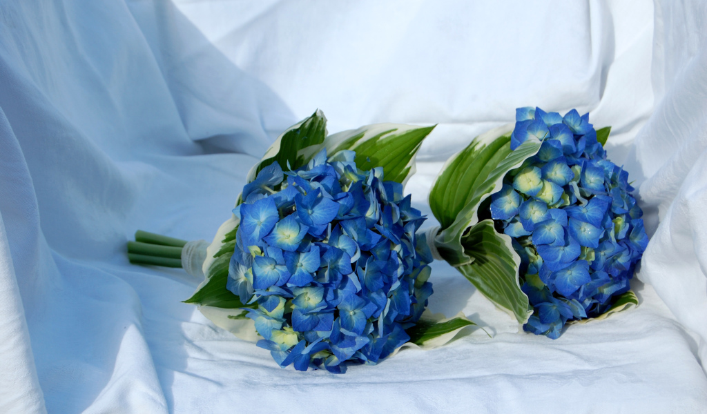 Два букета цветов гортензии