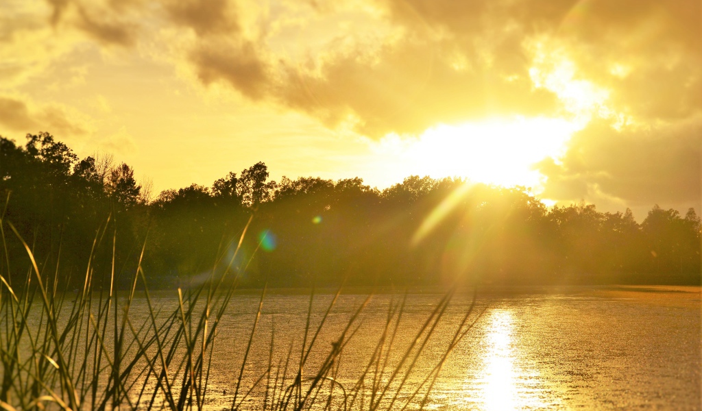 Восход солнца над лесным озером 