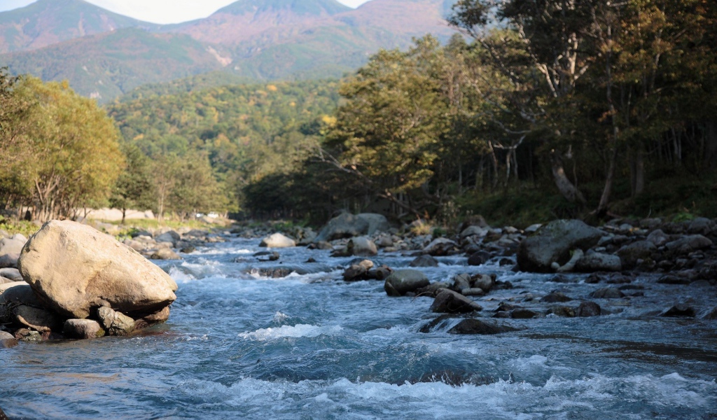 Бушующая горная река бежит по камням