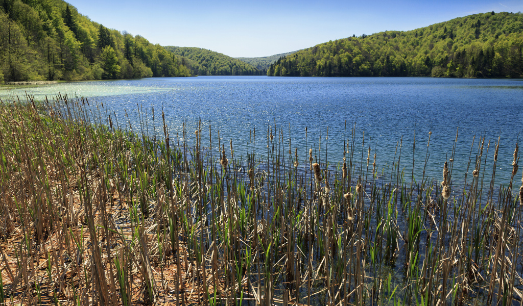 Вид на озеро и лес в Национальном парке Плитвицкие озёра, Хорватия