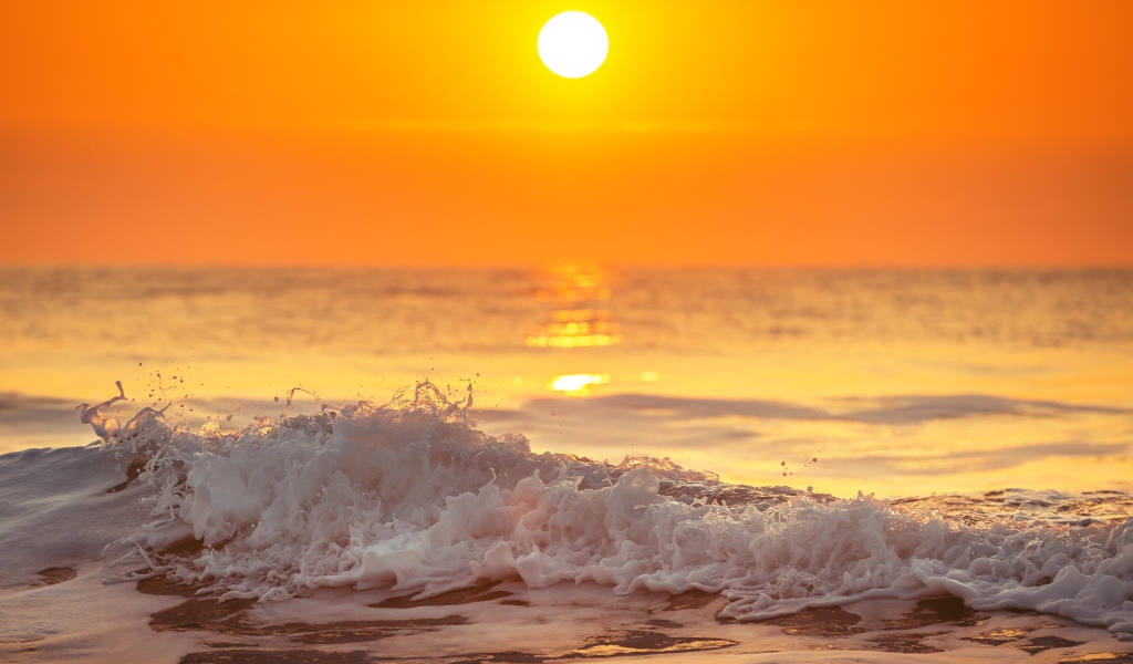 Белая пена на морском берегу в свете солнца на закате