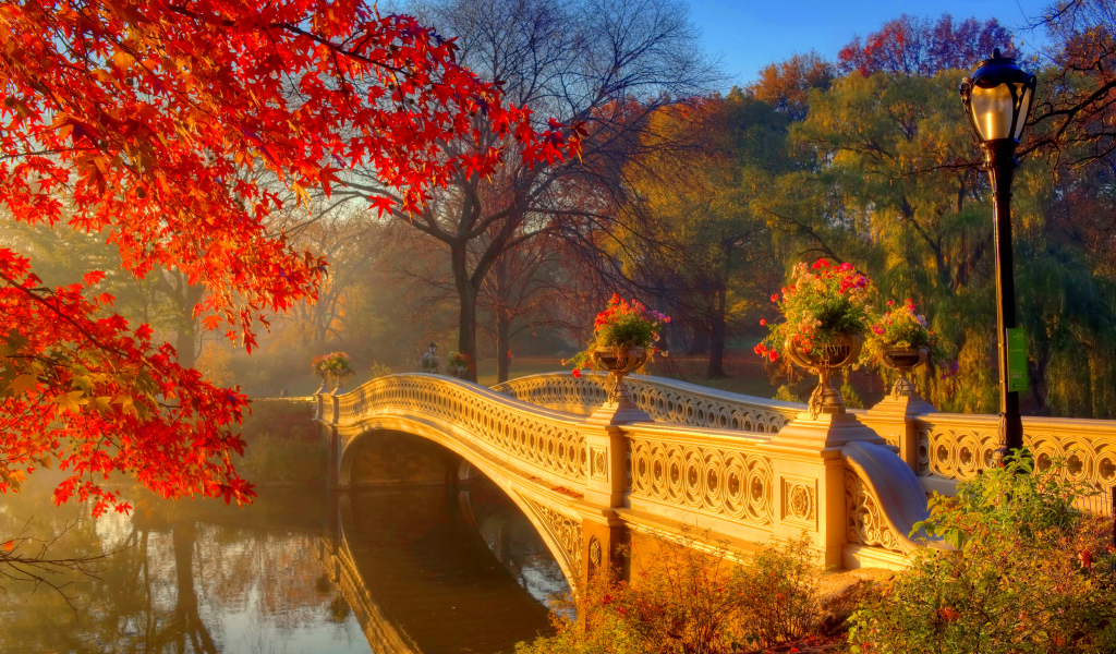 Bridge over the river in a beautiful autumn forest with golden leaves covered with trees