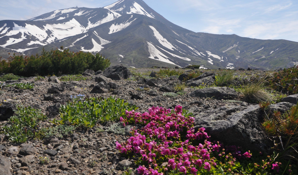 Вершина Авачинского вулкана, Камчатка. Россия 