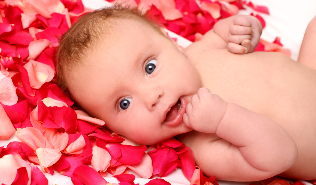 Грудной ребенок лежит на лепестках красной розы