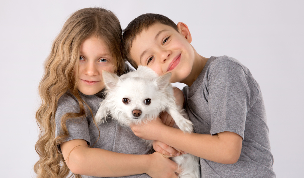 Мальчик и девочка держат в руках белого чихуахуа