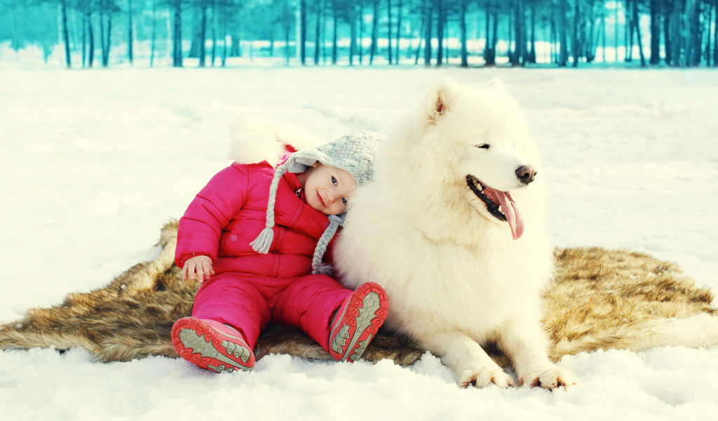 Маленькая девочка сидит на снегу с большой Самоедской собакой