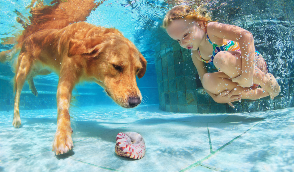 Маленькая девочка плавает в бассейне с большой рыжей собакой