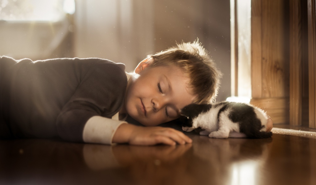 Спящий маленький мальчик и маленький котенок