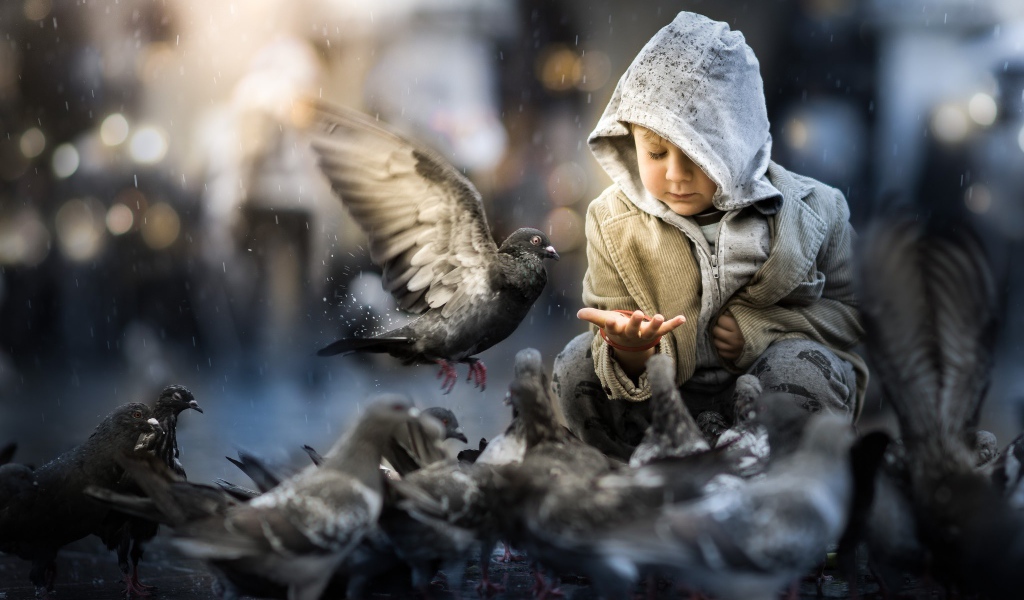 Маленький ребенок кормит голубей 