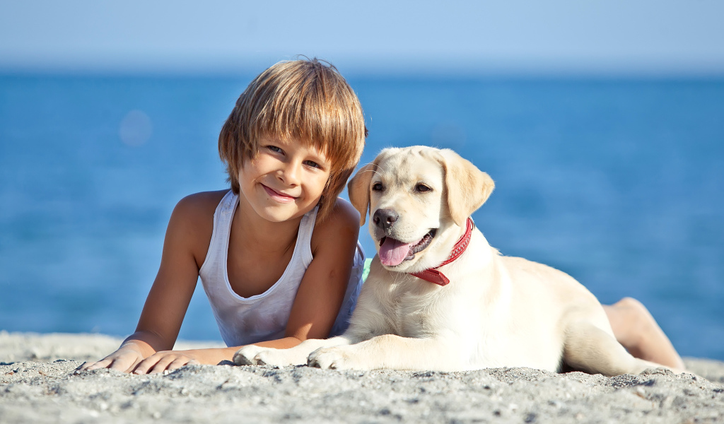 Симпатичный мальчик со щенком ретривера лежат на песке на пляже