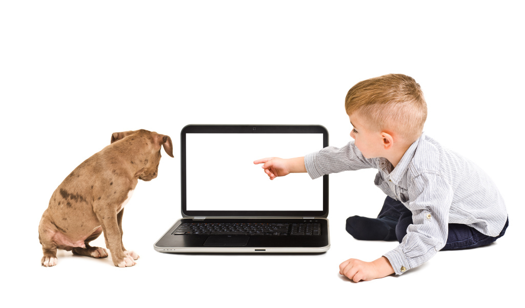 Маленький мальчик и щенок смотрят в экран ноутбука на белом фоне