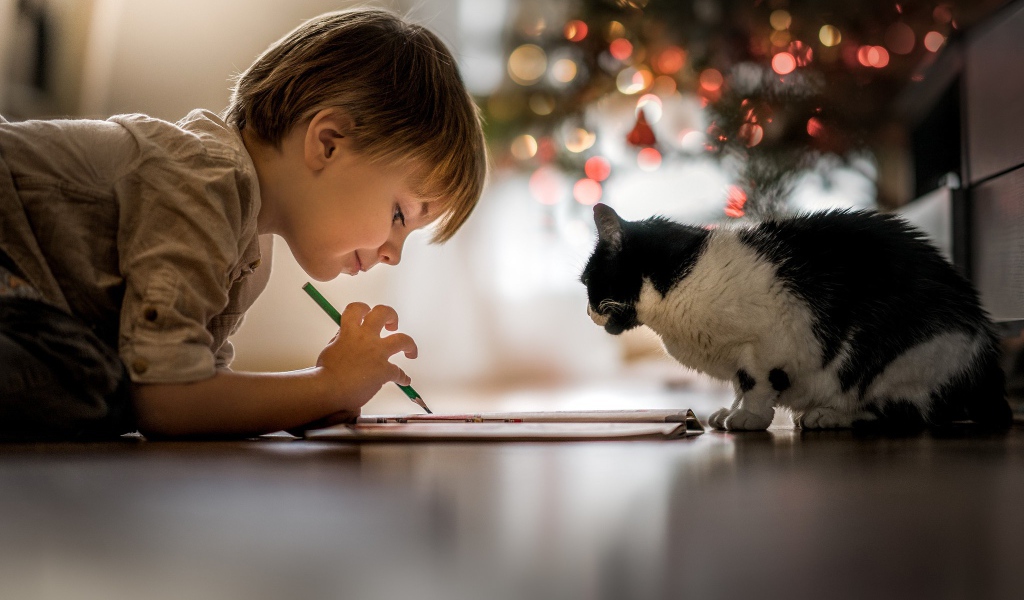 Маленький мальчик рисует с котом 