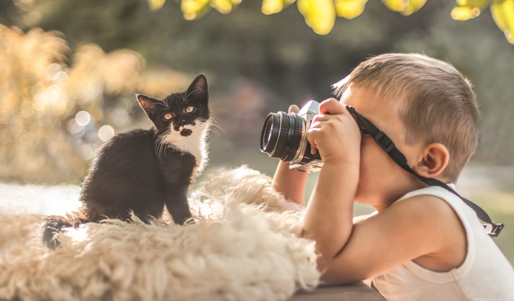 Маленький мальчик фотографирует котенка