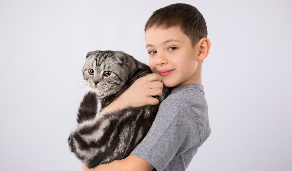 Маленький мальчик с большим котом на сером фоне