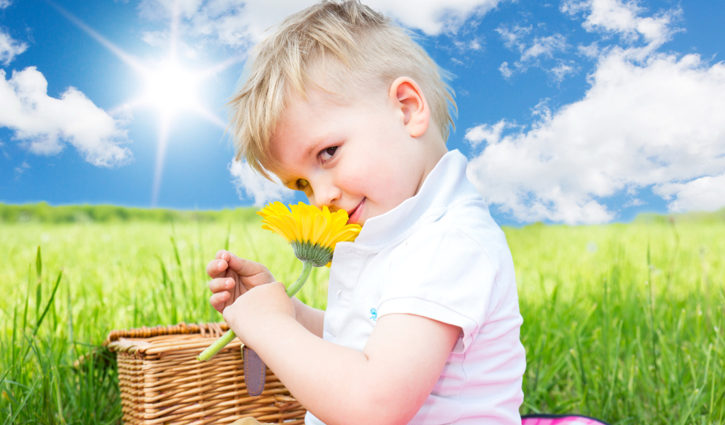 Маленький мальчик с цветком герберы на фоне голубого неба