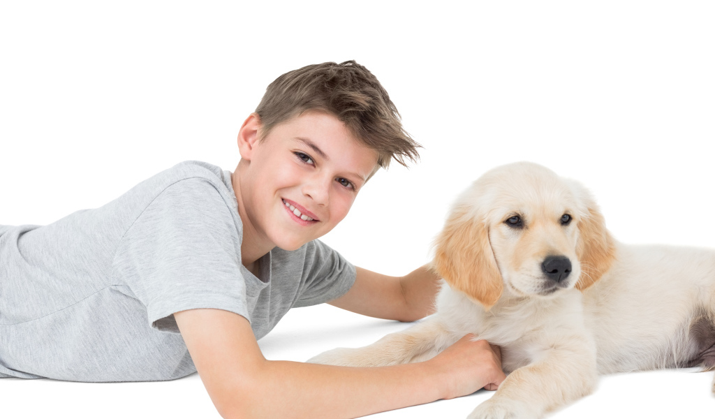 Маленький мальчик с щенком ретривера на белом фоне