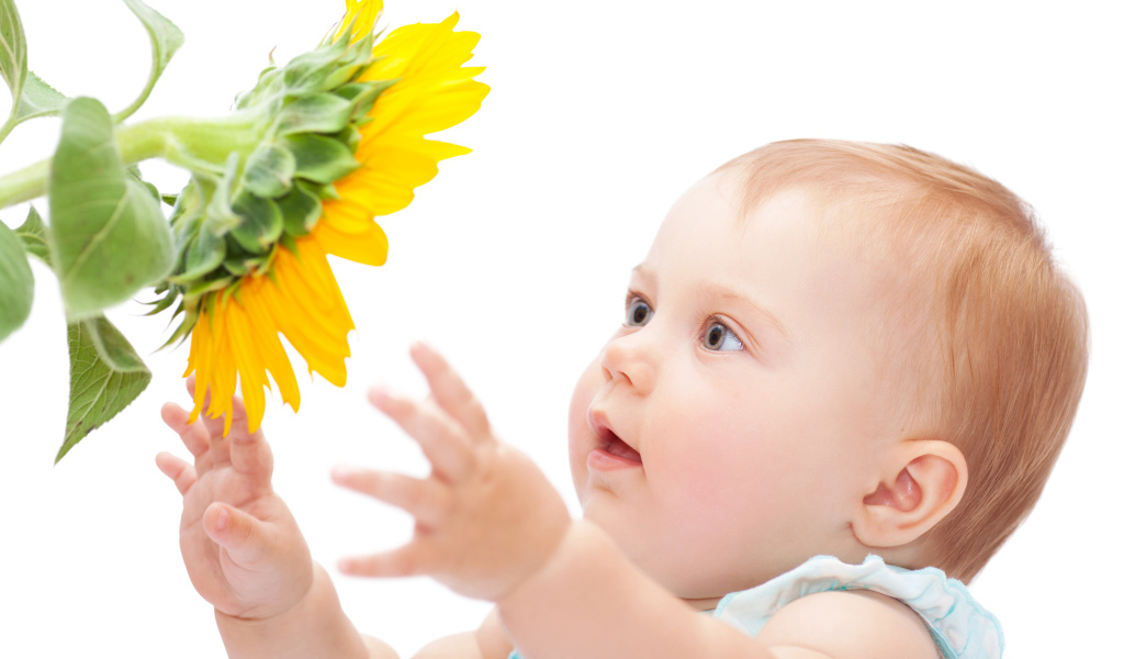 Маленькая милая девочка с подсолнухом на белом фоне