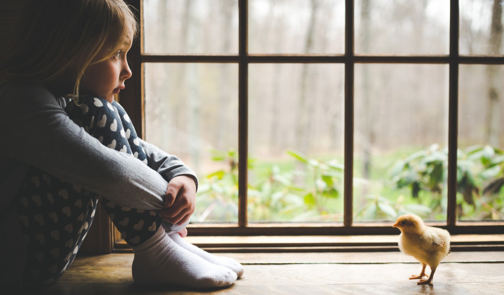 Маленькая девочка и цыпленок у окна 
