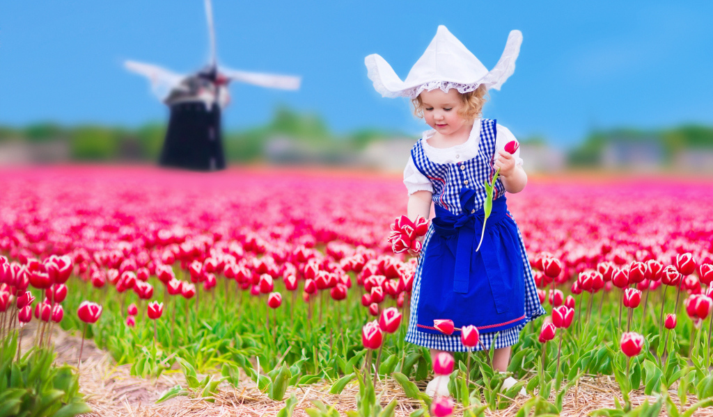 Маленькая девочка в голубом платье на поле тюльпанов 