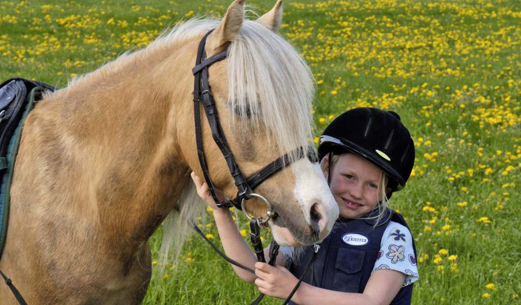 Маленькая девочка в шлеме с лошадью