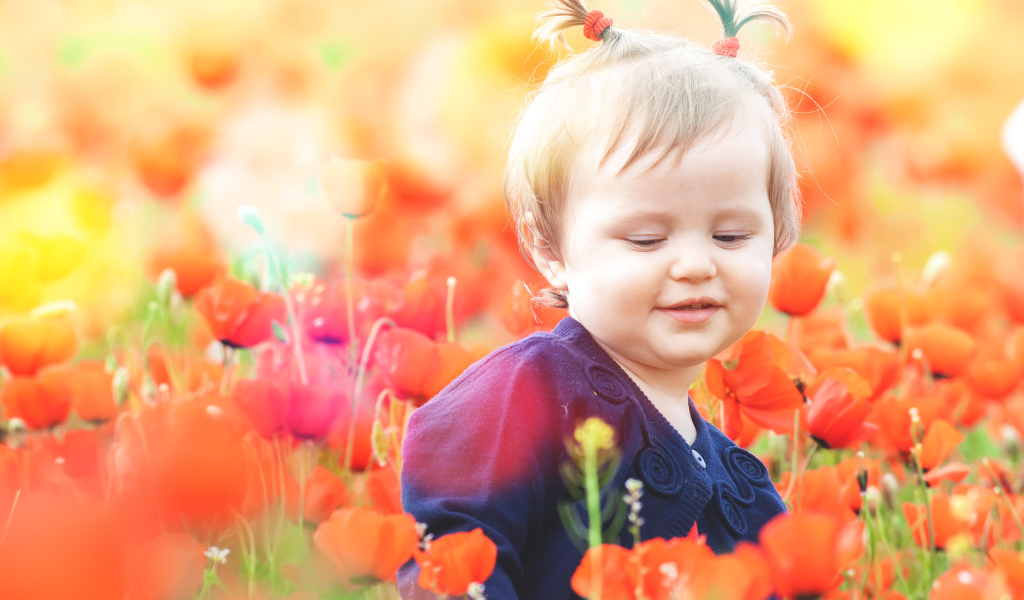 Маленькая девочка в красных цветах мака 