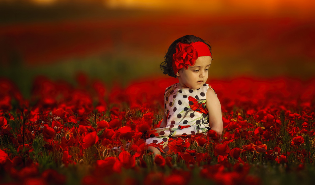 Маленькая девочка сидит в поле с красными маками