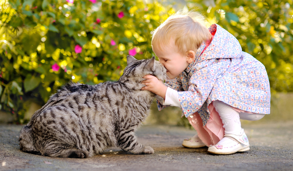 Маленькая девочка целует серого кота