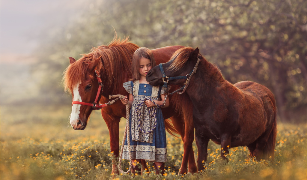 Маленькая девочка гуляет по полю с маленькими пони