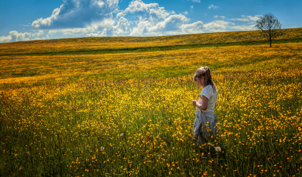 Маленькая девочка гуляет по полю с желтыми цветами