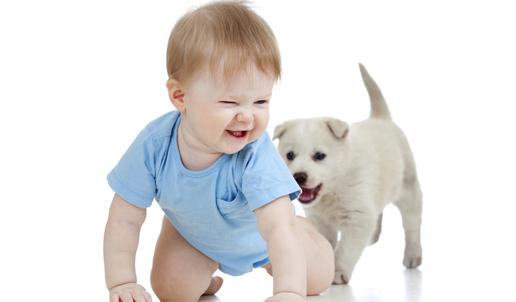 Маленький улыбающийся мальчик с щенком на белом фоне