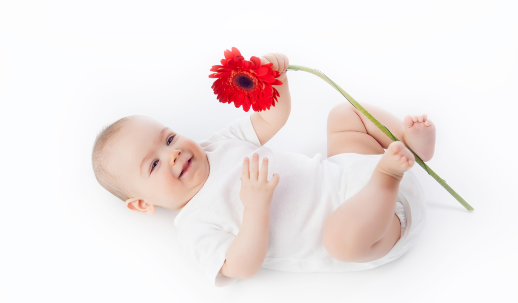 Улыбающийся младенец с цветком красной герберы на белом фоне