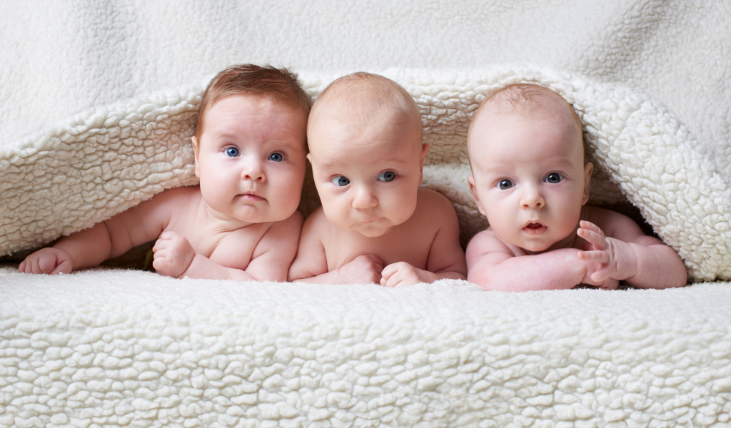 Три младенца лежат под одеялом