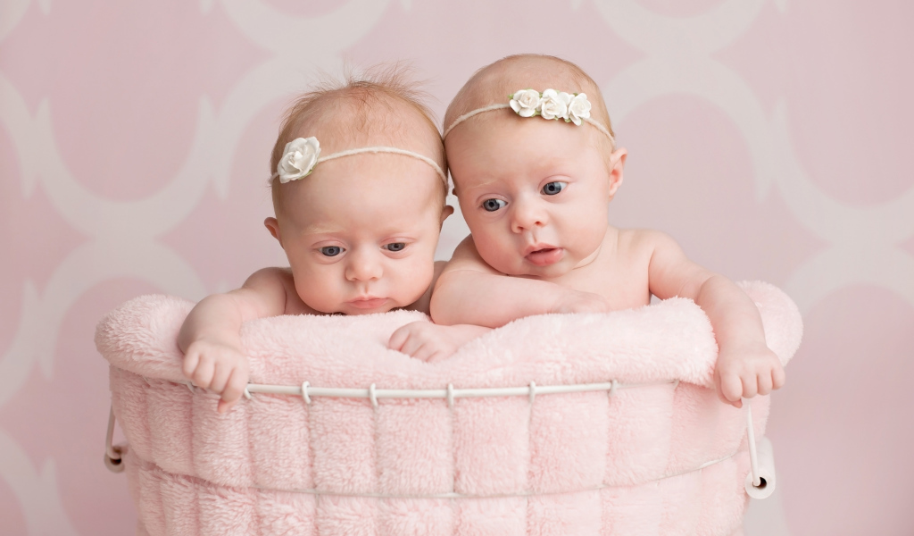 Два младенца близнеца девочки в корзине