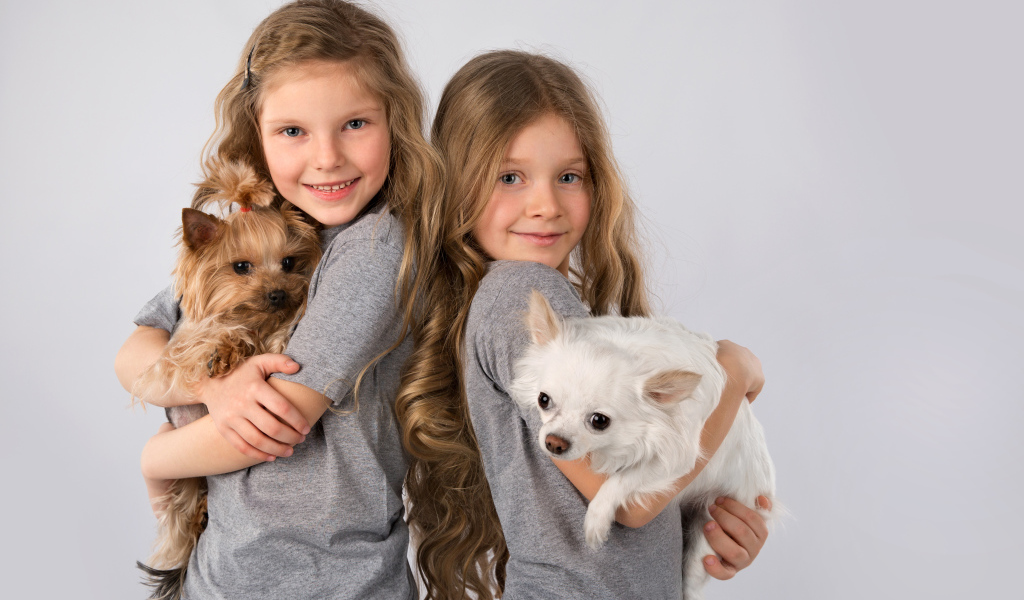 Две маленькие девочки с собачками на руках на сером фоне